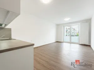 Pronájem bytu 1+kk, Olomouc - Nová Ulice, Třída Jiřího Pelikána, 33 m2