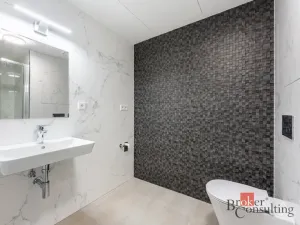 Pronájem bytu 1+kk, Olomouc - Nová Ulice, Třída Jiřího Pelikána, 33 m2
