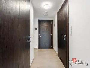 Pronájem bytu 1+kk, Olomouc - Nová Ulice, Třída Jiřího Pelikána, 33 m2