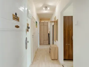 Prodej bytu 1+1, Praha - Braník, Branická, 46 m2