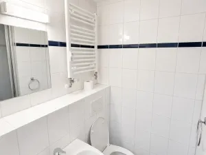 Pronájem bytu 1+kk, Praha - Střížkov, Děčínská