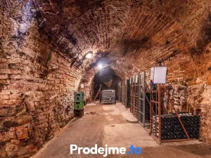 Prodej - jiné, Nový Šaldorf-Sedlešovice, 478 m2