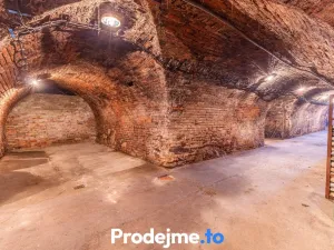 Prodej - jiné, Nový Šaldorf-Sedlešovice, 478 m2