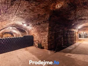 Prodej - jiné, Nový Šaldorf-Sedlešovice, 478 m2