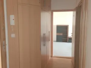 Pronájem bytu 1+1, Chomutov, Dřínovská, 62 m2