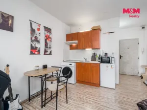 Prodej bytu 1+kk, Ústí nad Labem - Severní Terasa, Glennova, 19 m2