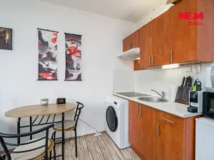 Prodej bytu 1+kk, Ústí nad Labem - Severní Terasa, Glennova, 19 m2