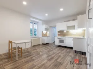 Pronájem bytu 2+kk, Brno - Veveří, Botanická, 43 m2