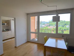 Pronájem bytu 3+1, Praha - Michle, U Botiče, 78 m2