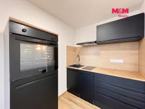 Pronájem bytu 1+kk, Ostrava - Moravská Ostrava, 30. dubna, 28 m2