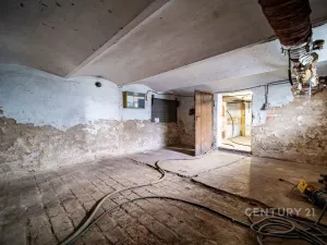 Prodej rodinného domu, České Budějovice - České Budějovice 5, Reinerova, 240 m2