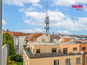 Prodej bytu 2+1, Praha - Žižkov, Baranova, 89 m2