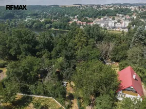 Prodej chaty, Zdiby - Brnky, Na Vinici, 24 m2