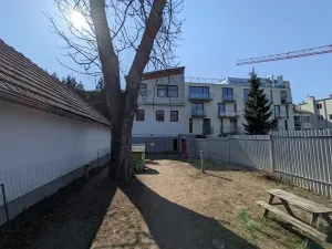Prodej vícegeneračního domu, Brno, Hlinky, 1140 m2