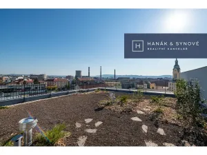 Pronájem bytu 1+kk, Brno, Křenová, 20 m2