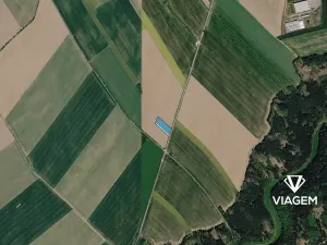 Prodej podílu pole, Dolní Újezd, 1318 m2