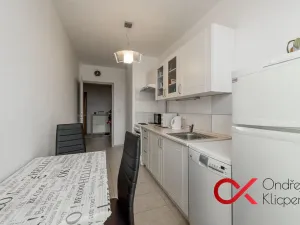 Pronájem pokoje, Praha - Holešovice, Dělnická, 17 m2