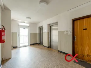 Pronájem pokoje, Praha - Holešovice, Dělnická, 17 m2