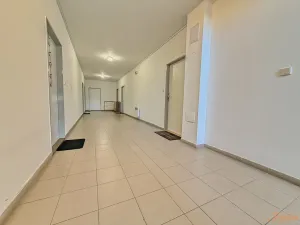 Pronájem bytu 2+kk, Holubice, 67 m2