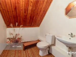 Prodej rodinného domu, Konstantinovy Lázně, Východní, 183 m2