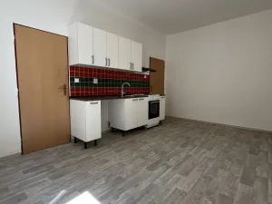 Pronájem bytu 1+1, Ostrava, Hájkova, 51 m2