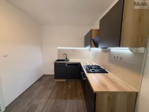 Pronájem bytu 3+1, Most, Moskevská, 55 m2