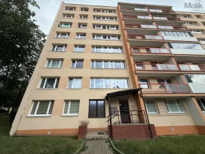 Pronájem bytu 3+1, Most, Moskevská, 55 m2