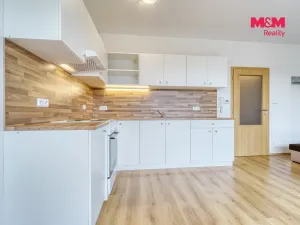 Pronájem bytu 1+kk, Plasy, U Václava, 38 m2