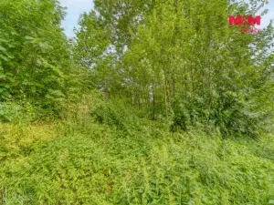 Prodej rodinného domu, Útvina, 63 m2