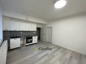 Pronájem bytu 1+kk, Mnichovo Hradiště, Havlíčkova, 32 m2