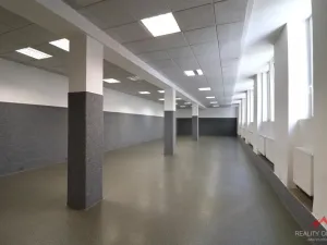 Pronájem komerční nemovitosti, Děčín - Děčín IV-Podmokly, Mírové nám., 373 m2