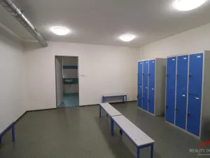Pronájem komerční nemovitosti, Děčín - Děčín IV-Podmokly, Mírové nám., 373 m2