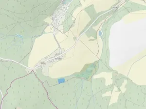 Prodej lesa, Mnichov - Vranov, 6298 m2
