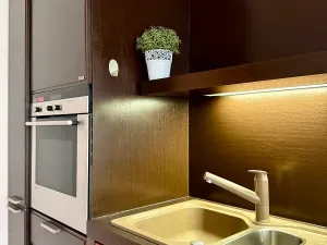 Pronájem bytu 1+1, Praha - Žižkov, Baranova, 56 m2