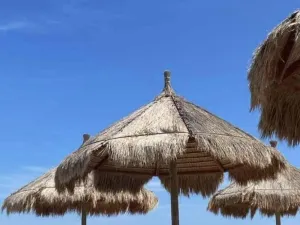 Prodej bytu 2+kk, Alba Adriatica,, 50 m2