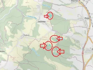 Prodej lesa, Jestřebí, 24490 m2