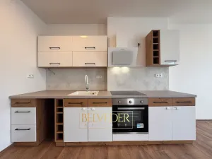 Pronájem bytu 2+kk, Teplice, Albrechtova, 70 m2