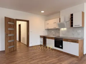 Pronájem bytu 2+kk, Teplice, Albrechtova, 70 m2