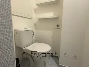 Pronájem bytu 1+kk, Ostrava, 30. dubna, 35 m2