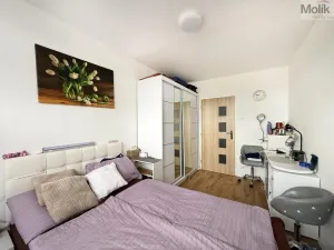 Pronájem bytu 2+kk, Bílina - Pražské Předměstí, Aléská, 49 m2