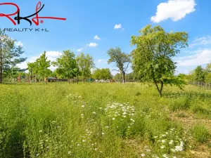 Prodej zahrady, Černouček, 5000 m2