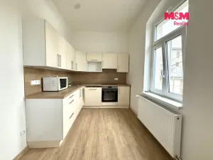 Pronájem bytu 1+1, Děčín - Děčín III-Staré Město, 55 m2