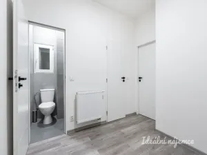 Pronájem bytu 1+kk, Praha - Braník, Nad přívozem, 29 m2