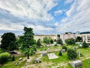 Pronájem bytu 1+kk, Písek - Pražské Předměstí, Pražská, 35 m2