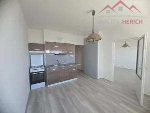 Pronájem bytu 1+1, Chomutov, Písečná, 36 m2