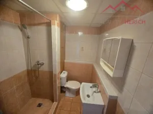 Pronájem bytu 1+1, Chomutov, Písečná, 36 m2