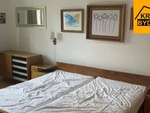 Pronájem chalupy, Rohozná, 220 m2
