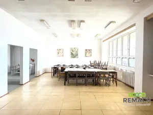 Pronájem obchodního prostoru, Staré Město, Luční čtvrť, 222 m2
