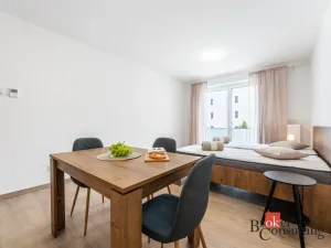 Pronájem bytu 1+kk, Olomouc - Nová Ulice, Třída Jiřího Pelikána, 33 m2