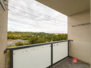 Prodej bytu 3+1, Plzeň - Severní Předměstí, Brněnská, 72 m2